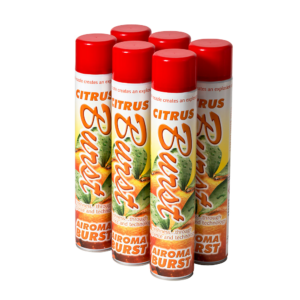 Airoma Burst spuitbus Citrus 6 x 750 ml